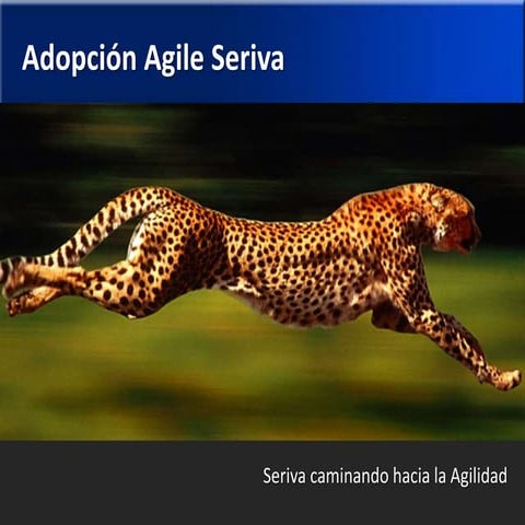 Adopción Agile en Seriva (2011)