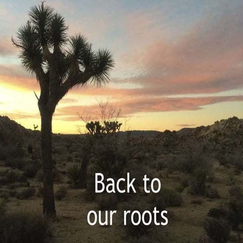 Back to our Roots Part Iii: Baptism