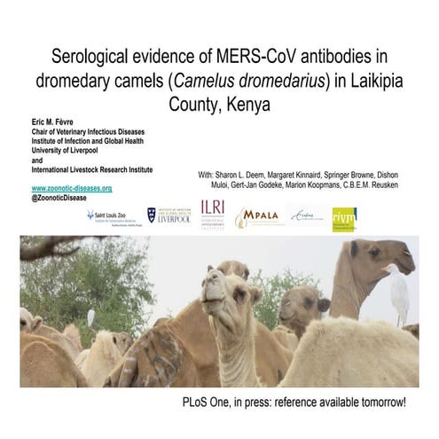 Serological evidence of MERS-CoV antibodies in dromedary camels (Camelus drom...