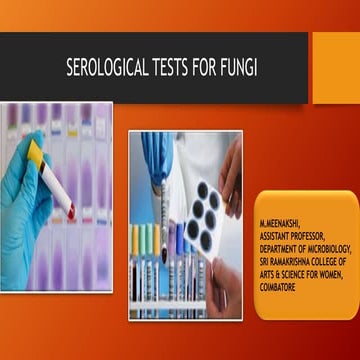 Serological test for  fungi