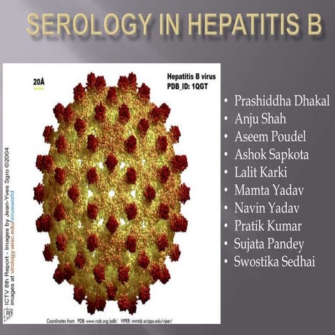 Serology in hepatitis b