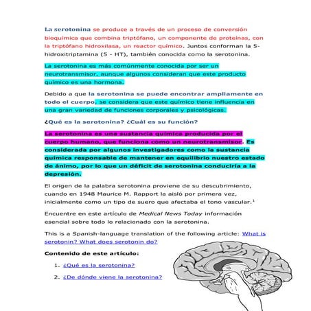 Serotonina  y budismo para el cambio cerebral y la actiud humana