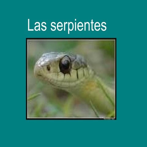 LAS SERPIENTES
