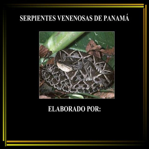 Serpientes Venenosas de Panamá