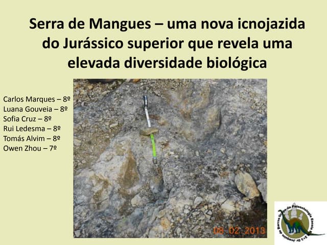 Serra de Mangues – uma nova icnojaz...