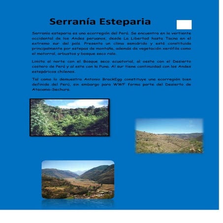 Serranía esteparia es una ecorregión del perú