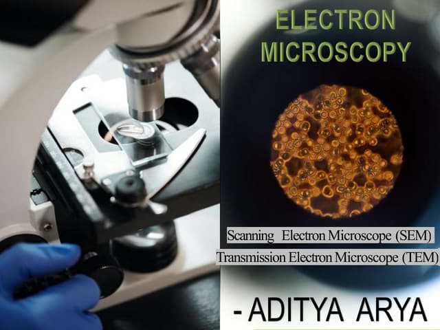 ELECTRON MICROSCOPY (TEM & SEM)