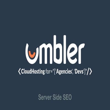 Server side seo