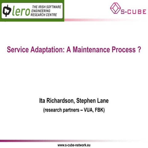 S-CUBE LP: Service Adaptation: A Maintenance Process ?