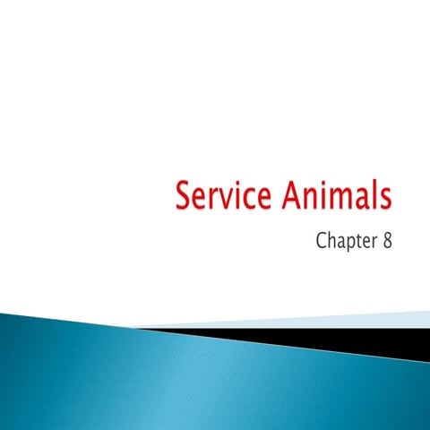 Service Animals