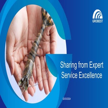 Service Excellence to Improve Customer Satisfaction