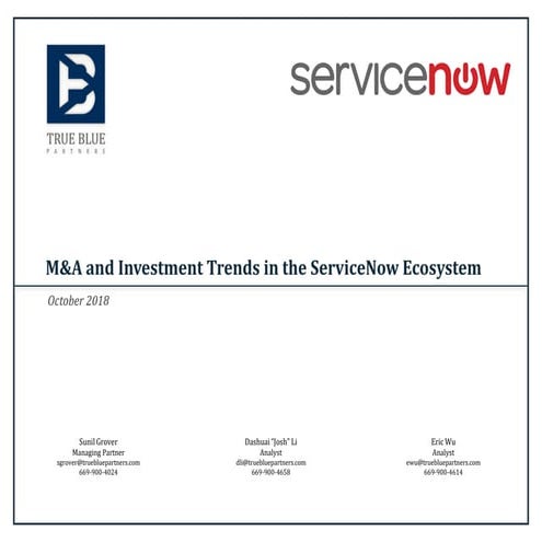 ServiceNow ecosystem  - True Blue Partners - Review of key investment and mer...