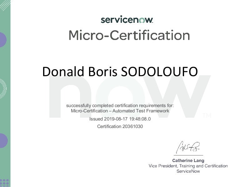 Micro certification automated test framework