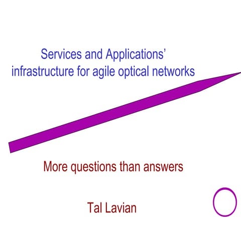 Services and applications’ infrastructure for agile optical networks