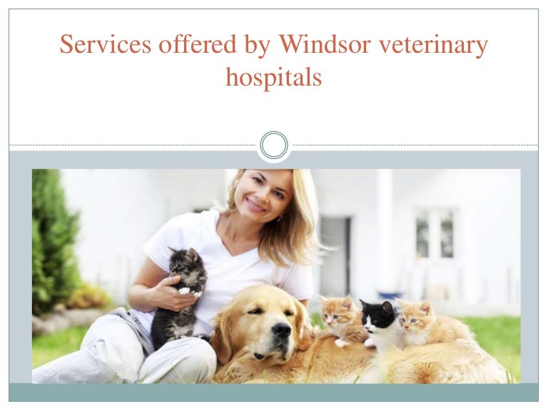 Services Offered By Windsor Veterinary Hospitals