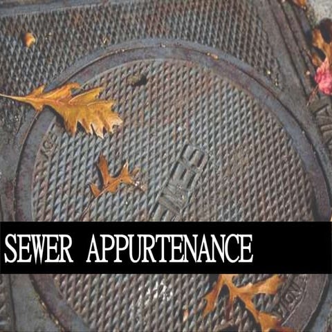 sewer appurtenance  