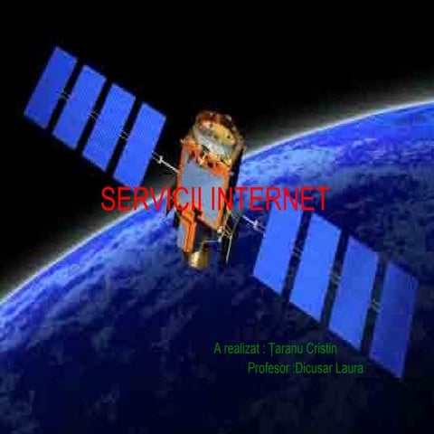 Servicii internet