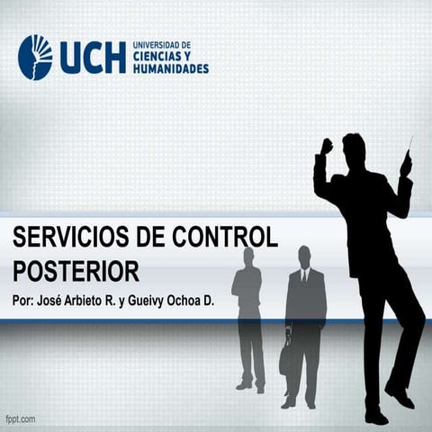 Normas de control interno para el Sector Público | PDF
