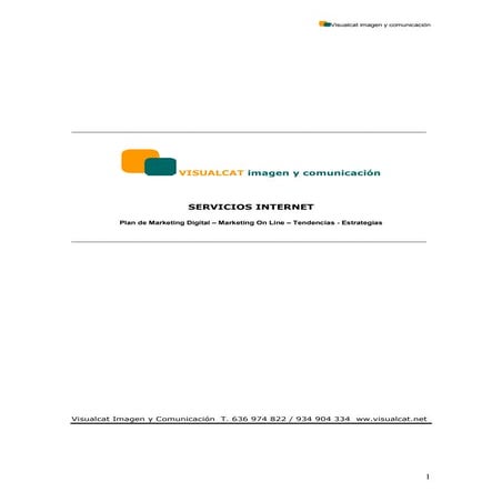 Servicios www.Visualcat.net Accions estrategia marketing on line