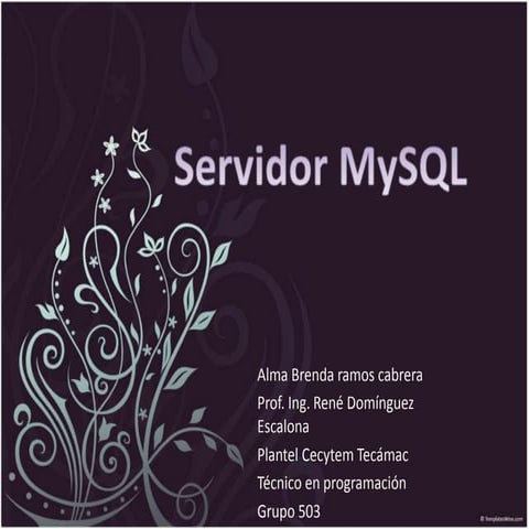 Servidor my sql