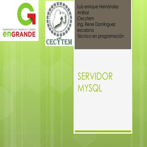 Servidor mysql