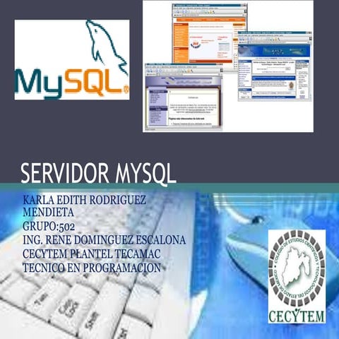 Servidor mysql