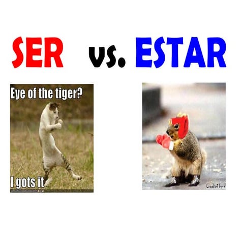 Ser vs estar pp