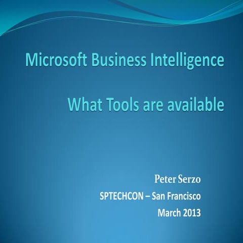 Tutorial: (Additional Slides) Business Intelligence: Making the Right Choices...