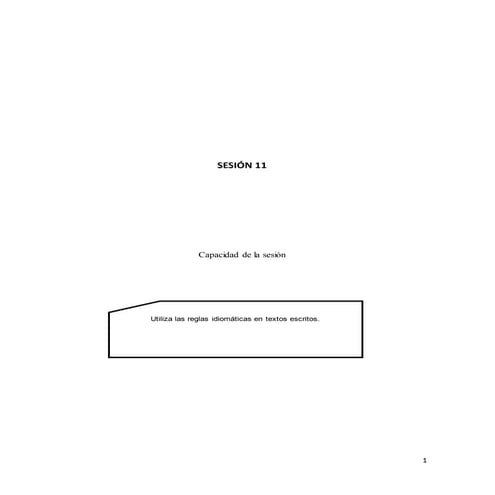 Ses 11 material informativo