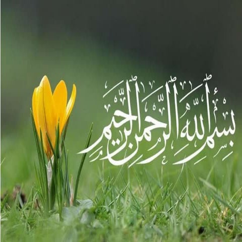 Production Technology of Sesame