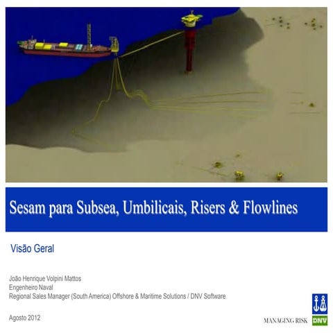 Sesam para Subsea, Umbilicals, Risers e Flowlines (SURF)