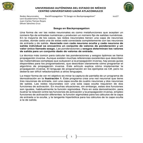 Sesgo BacoProgpagation