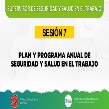 Plan y Programa Anual de Seguridad y Salud en el Trabajo | PDF