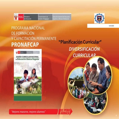 PLANIFICACION Y DIVERSIFICACION CURRICULAR