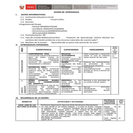 Sesión de aprendizaje Aves Educación Inicial.