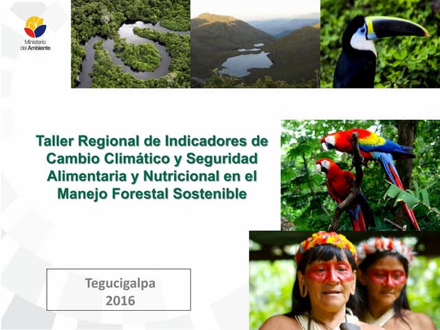 Presentación de Ecuador en el Taller Regional de Indicadores de Cambio Climát...