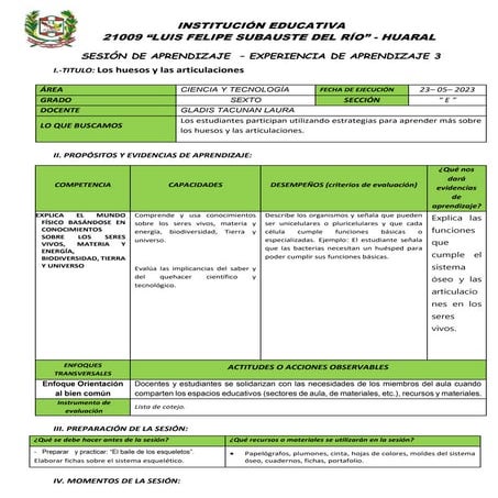 SESIÓN Los huesos y las articulaciones.docx