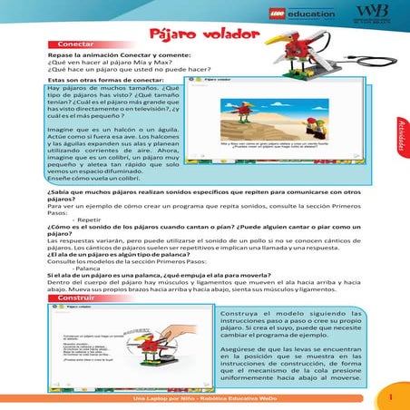 Sesion   pajaro volador-billetes-fabulas