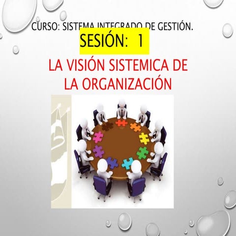 VISION SISTEMICA DE LA ORGANIZACIÓN