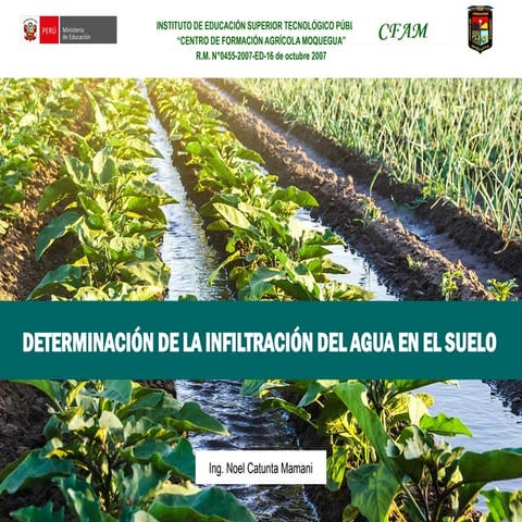 Sesion 20. determinacion de la infiltracion.pptx