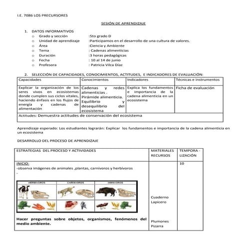 Sesion 2  junio cadenas alimenticias