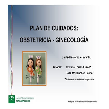 PLAN DE CUIDADOS: OBSTETRICIA - GIONECOLOGÍA