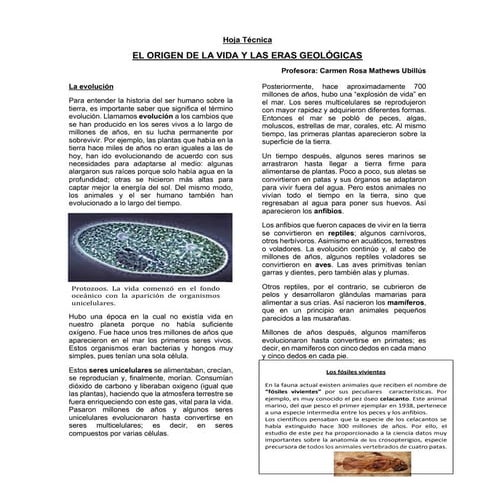 El origen y evolución de la vida | PPTX