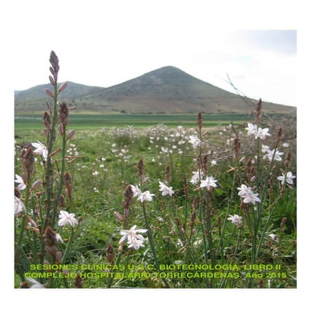 Sesiones clinicas de la ugc de biotecnologia ch torrecardenas 2015