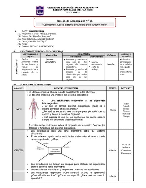 Y circulatorio propósito sistema función del