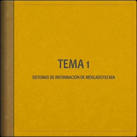 SISTEMAS DE INFORMACIÓN DE MERCADOTECNIA