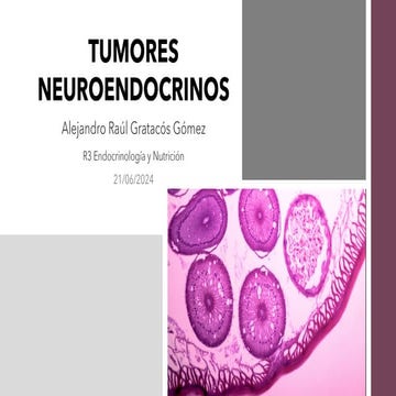 Tumores neuroendocrinos (TNE). Generalidades