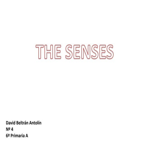 The senses (5)