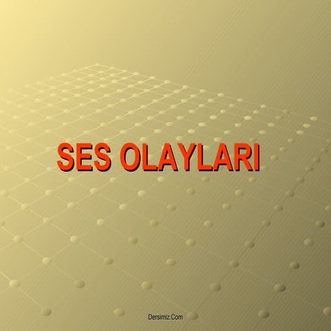 Ses Olaylari Talikulekoglu