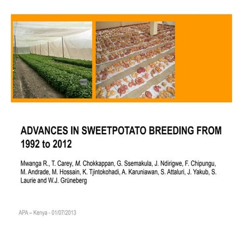 Sess04 2 advances in sweetpotato breeding from 1992 to 2012